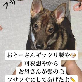 ギックリ腰　Back pain と　”ご支援物資のお願い”の画像