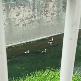 仲良しグループの画像