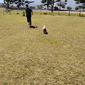 獅子吼高原と粟津ワンワンリゾートの画像