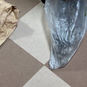 あんちゃんの画像