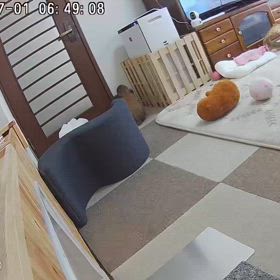 ダッシュしたり飛び跳ねたり^ ^の画像