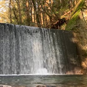 泳ぐにはまだ早いの画像