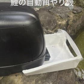 鯉の餌やり機の工夫の画像