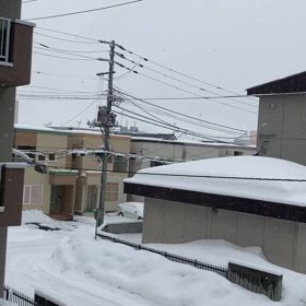 冬将軍最後の足掻き？の画像