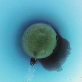 セルフダイビングの画像