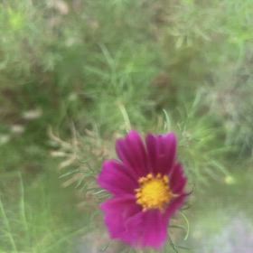 人をコントロールしようとしないの画像