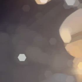 2025年はCottoha〜ことは〜で夜活⭐︎の画像