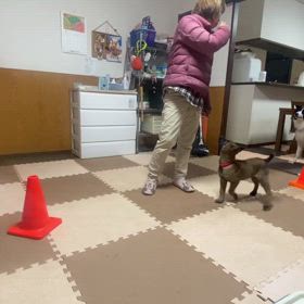 コーン周り その後…の画像