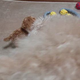 １月２１日の画像