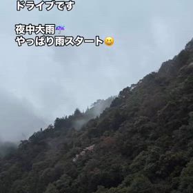 奈良下北山キャンプ　お花見の画像