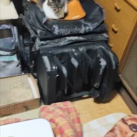 2025/03/10 の画像