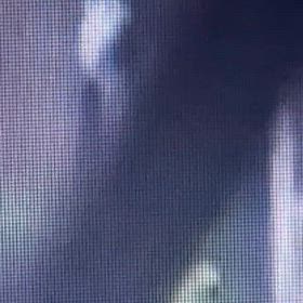 今日は私が在宅なんで、そーっと開けてます。の画像