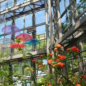 動画のテストの画像