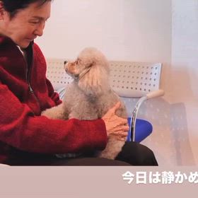 こんなにの画像