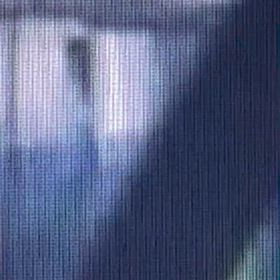 玄関開けて、車に取りに行つわたら　Σ('◉⌓◉’)の画像