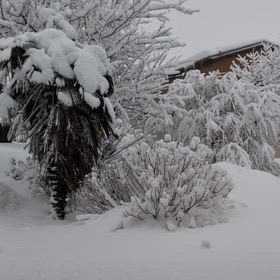 中途半端な田舎新潟県三条市大雪の画像