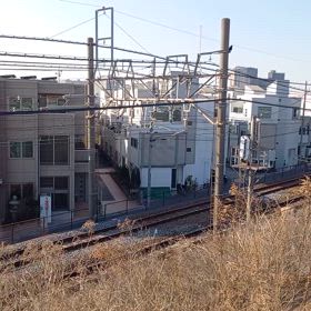 2024/01/31の画像