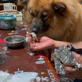 大ファンの画像