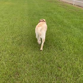 2024/09/19☁️の画像