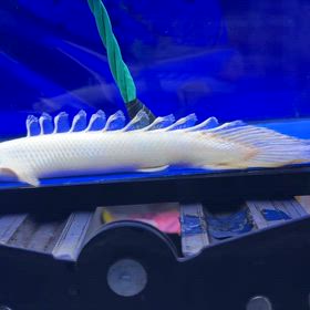 愛知県のお客様に蜃気楼ご成約頂きました☺️の画像