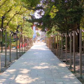 平塚八幡宮・風鈴の画像