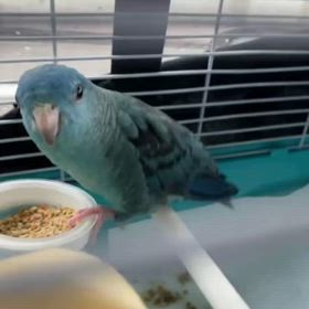 流行りの…の画像