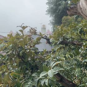 ばかなの？の画像