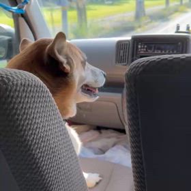 石岡八郷ベースの画像