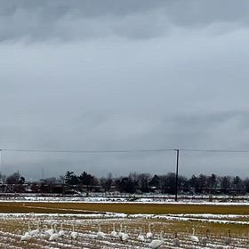 その後。の画像