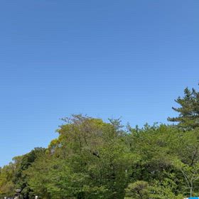 万博に来ましたの画像