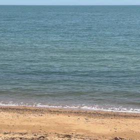 いろんな意味で痛いの画像