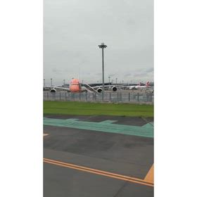 羽田空港 フライングホヌの画像