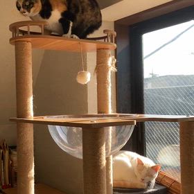 クリちゃんタワーのぼんぼりで遊ぶの画像