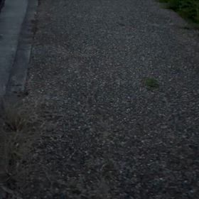 雨の降らない梅雨の日にの画像