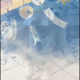 皆さんお元気にしてますか？の画像