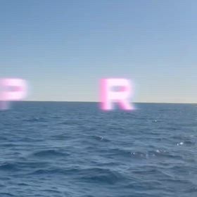 ティップがランせず…の画像