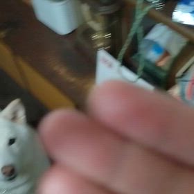 お久しぶりです☺の画像