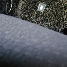 ジングルベルの画像