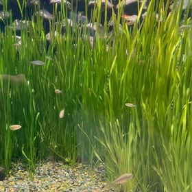 昨日のお休みは ･ ･ ･の画像