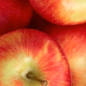 心の大吉をGET　人の優しさに涙しましたの画像