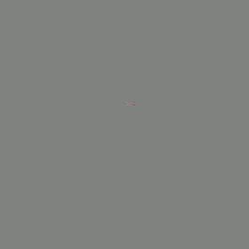 恒例のコンサートの画像