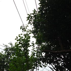 わかるかなぁ、わかんねぇだろうなぁの画像