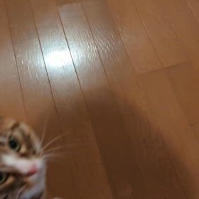 ４月１３日（日）の画像