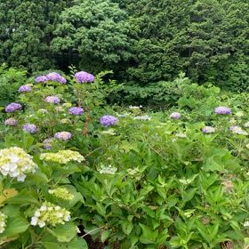 勘違いノンデュアリティ(*≧∀≦*)の画像