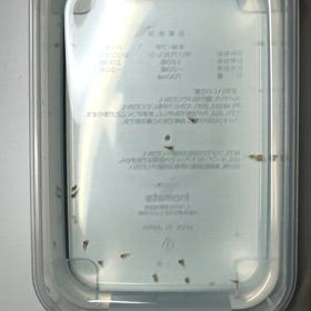 藍石台の人工授精の画像