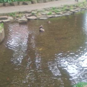 どうにでもなったていいやの画像