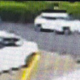 ちゃんと観てから出てきてる　Σ('◉⌓◉’)の画像