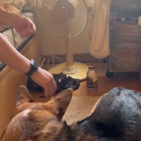 昨日は精神科でしたの画像