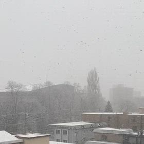 雪が降ってる日の画像