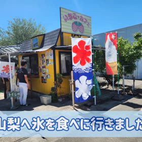 夏のお楽しみ！　果物氷の画像